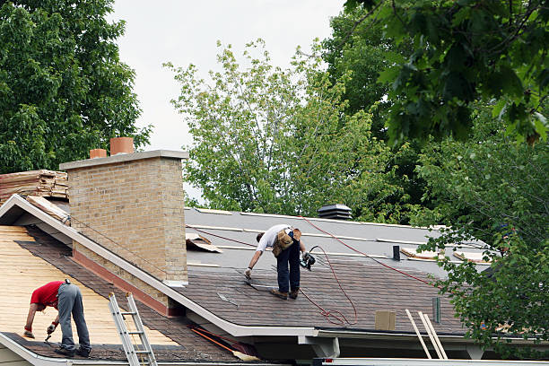 Roof Gutter Cleaning in New Concord, OH